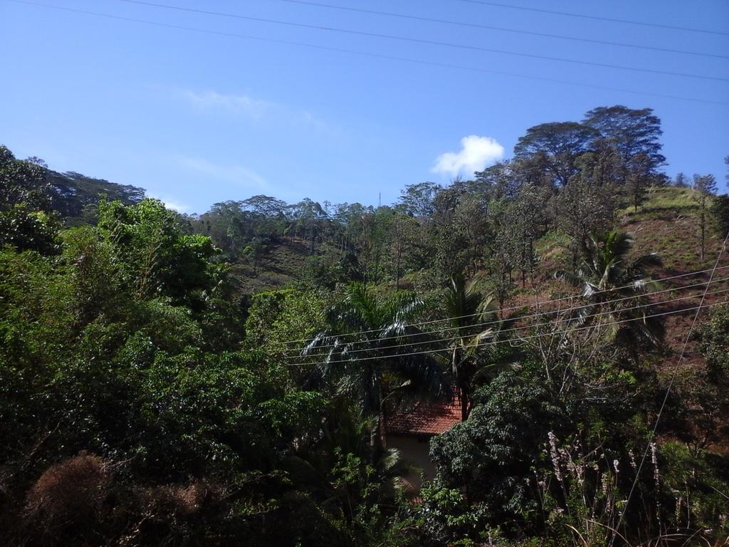 Nature'S Nest Kandy Exterior photo